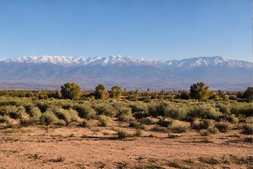 Open land along the Ourika route facing the Atlas mountains